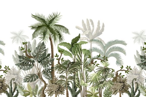 fototapeta egzotyczne drzewa 1908021 Exotic Panorama