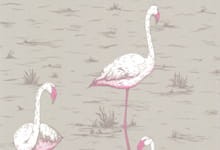 Cole & Son Flamingos