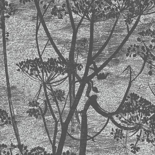 Cole & Son_Icons_Cow Parsley_112-8026.jpg