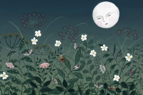 fototapeta w truskawki R18191 Rebel Walls Dreamland Strawberry Field Night