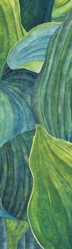 mural liście hosty DG2HOS1011 Khroma Wall Designs I