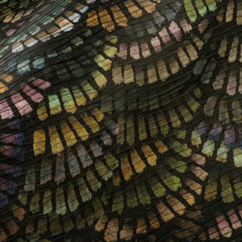 tapeta tekstylna Moooi MO4022 Arte Memento Moooi