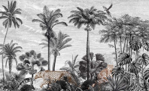Mural palmy Skinwall Suite Collection 740