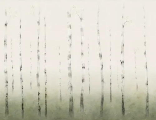 tapeta brzozy S10170 Sundborn Sandberg