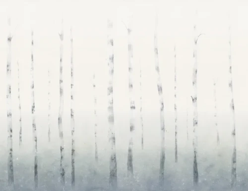 tapeta brzozy S10178 Sundborn Sandberg