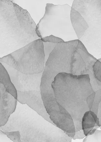 fototapeta akwarela R18589 Rebel Walls Simplicity Petals Graphite