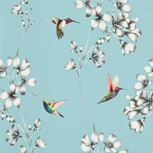 tapeta koliber 111060 Colour 2 Harlequin