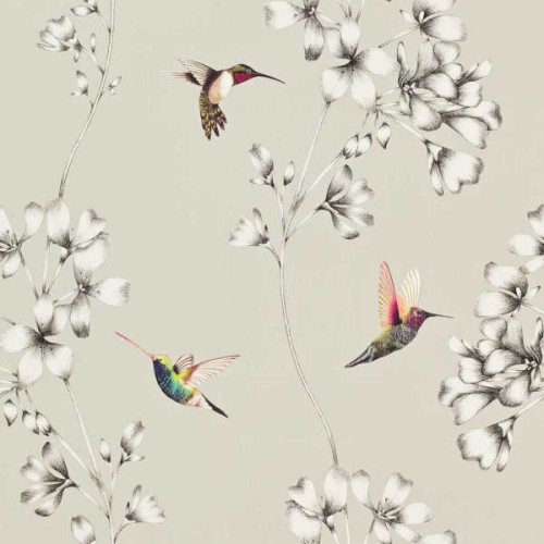 tapeta koliber 111062 Colour 2 Harlequin