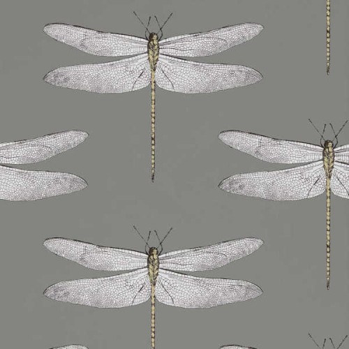 tapeta ważki 111242 Colour 2 Harlequin