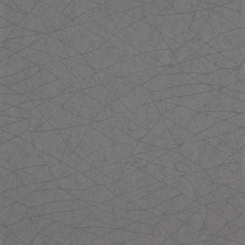 tapeta pajęczyna 110894 Colour 2 Harlequin