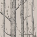 112/3009 Woods tapeta Icons Cole&Son