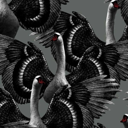 tapeta ​Swan Lake 1175 Studio Lisa Bengtsson
