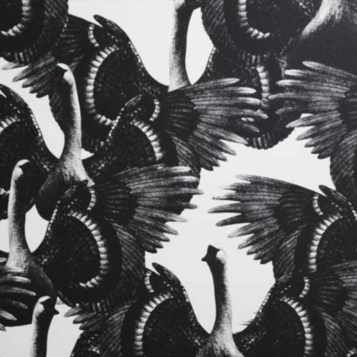 tapeta ​Swan Lake 1176 Studio Lisa Bengtsson