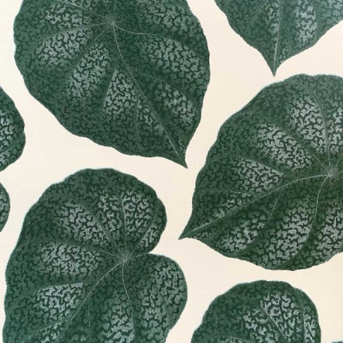 tapeta Life 1420 Studio Lisa Bengtsson