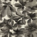 tapeta liście 113005 Colour 4 Harlequin