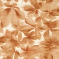 tapeta liście 113007 Colour 4 Harlequin