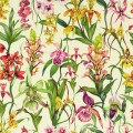 tapeta dzika orchidea 113009 Colour 4 Harlequin