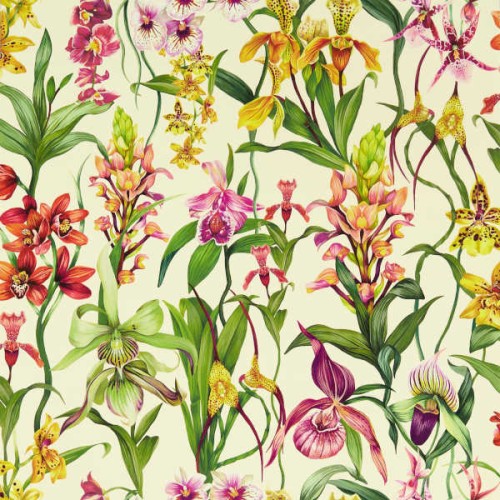 tapeta dzika orchidea 113009 Colour 4 Harlequin