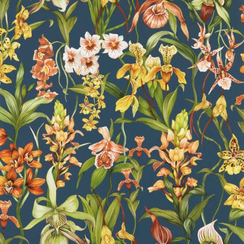 tapeta dzika orchidea 113010 Colour 4 Harlequin