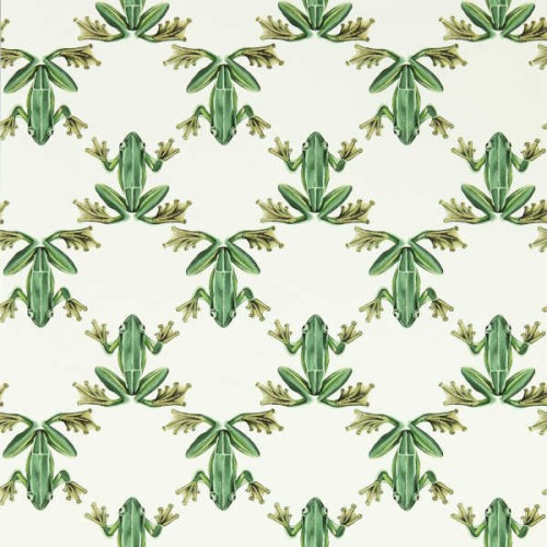 tapeta w żaby 113011 Colour 4 Harlequin