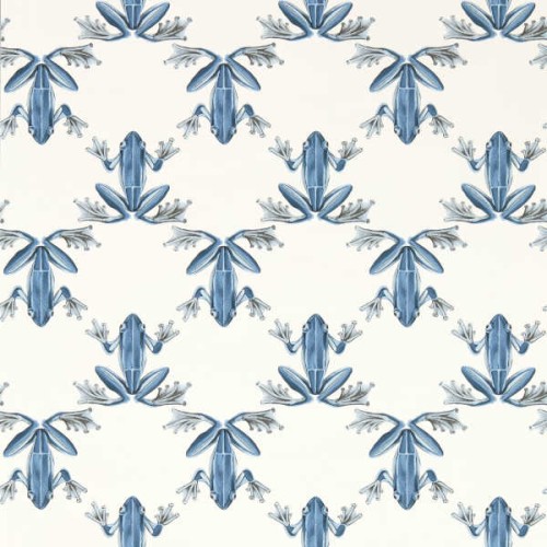 tapeta w żaby 113012 Colour 4 Harlequin