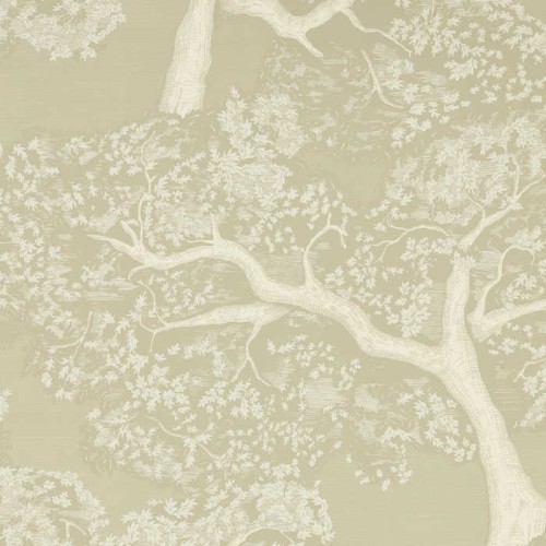 tapeta drzewa dębu 113022 Colour 4 Harlequin