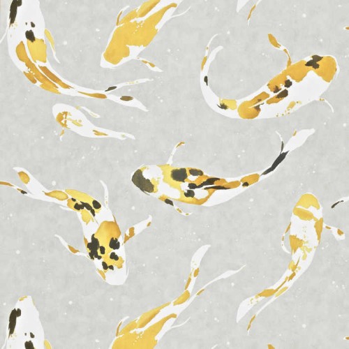 tapeta w kolorowe ryby 110901 Colour 4 Harlequin