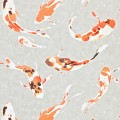 tapeta w kolorowe ryby 110903 Colour 4 Harlequin