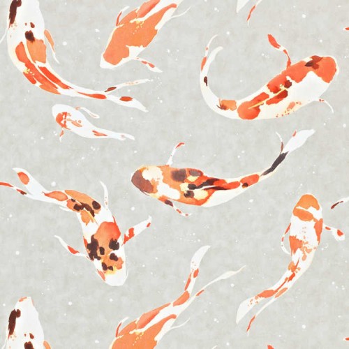 tapeta w kolorowe ryby 110903 Colour 4 Harlequin