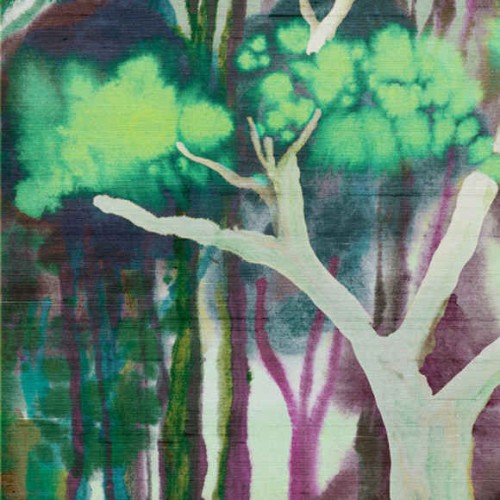 fototapeta drzewa figowe Banyan 11531 Arte Alaya