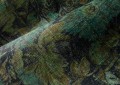 tapeta kwiecisty wzór Arte Antigua Stagionato