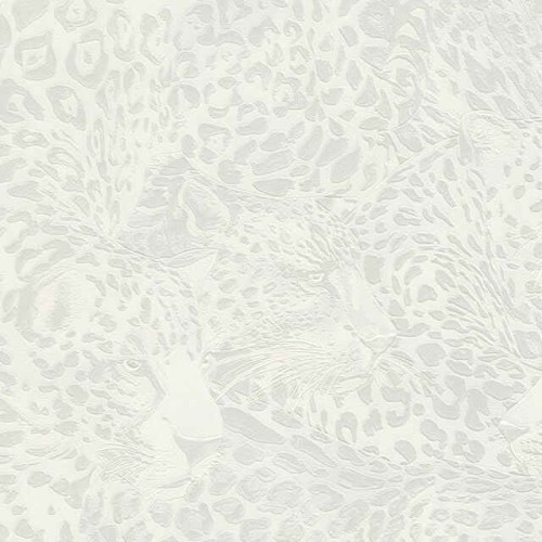 UL041 motyw lamparta tapeta Dolce&Gabbana