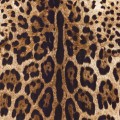 UL003 motyw lamparta tapeta Dolce&Gabbana