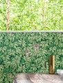tapeta Cole&Son Fornasetti Senza Tempo II