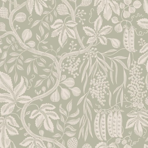 tapeta drzewa figowe S10259 Fig Garden Sandberg