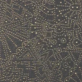 tapeta gwieździste niebo Gobi 74030 Kharga Arte