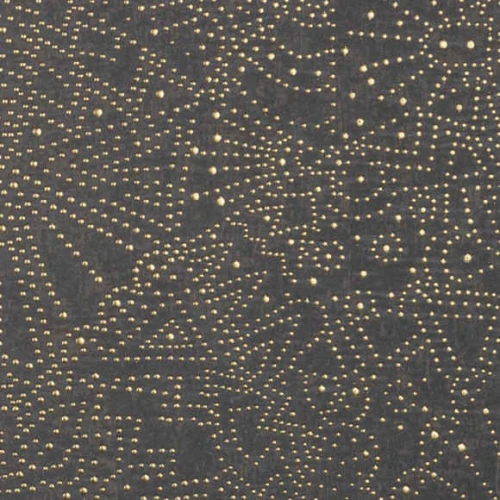 tapeta gwieździste niebo Gobi 74030 Kharga Arte