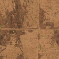 tapeta z korka Arte 48043 Eclat Les Forets
