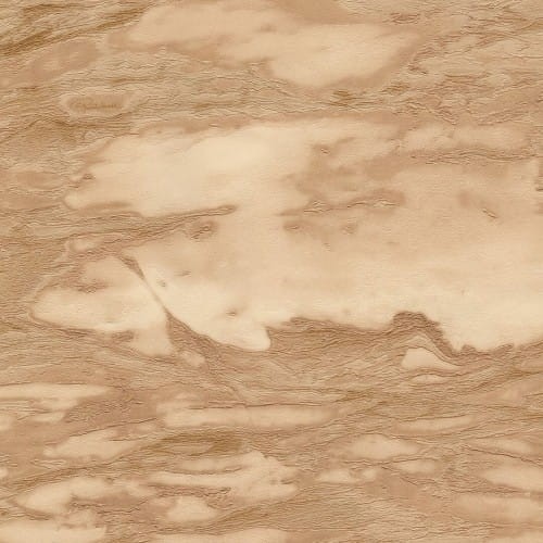 Roberto Cavalli 9 tapeta winylowa RC21029