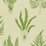 Woodland Ferns DAPGWO102 tapeta Sanderson One Sixty 