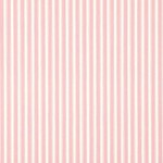  New Tiger Stripe   DCAVTP101  tapeta Sanderson One Sixty