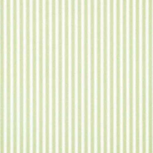 New Tiger Stripe DCAVTP103 tapeta Sanderson One Sixty