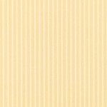  New Tiger Stripe   DCAVTP104  tapeta Sanderson One Sixty