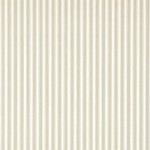  New Tiger Stripe   DCAVTP107  tapeta Sanderson One Sixty