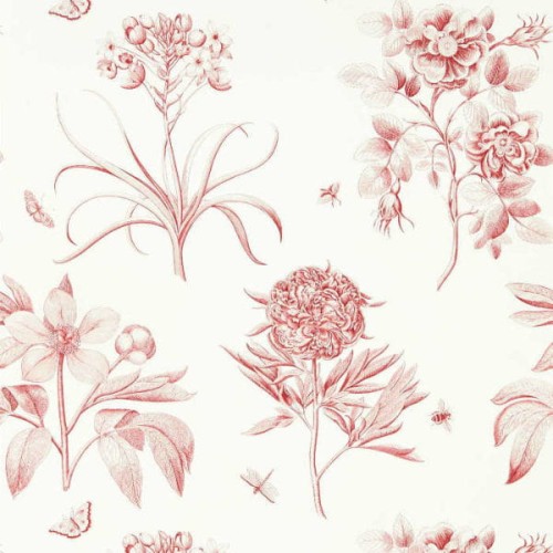 Etchings & Roses 217054 tapeta Sanderson One Sixty
