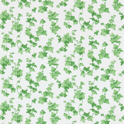 Hedera 214593 tapeta Sanderson One Sixty