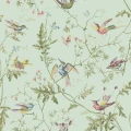 tapeta ptaki 124/1007 Cole&Son Hummingbirds
