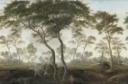 fototapeta drzewa R18802 Rebel Walls The Green Forest Morning