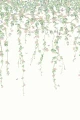 mural botaniczny 124/2008 Cole&Son Hummingbirds