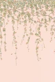 mural botaniczny 124/2009 Cole&Son Hummingbirds